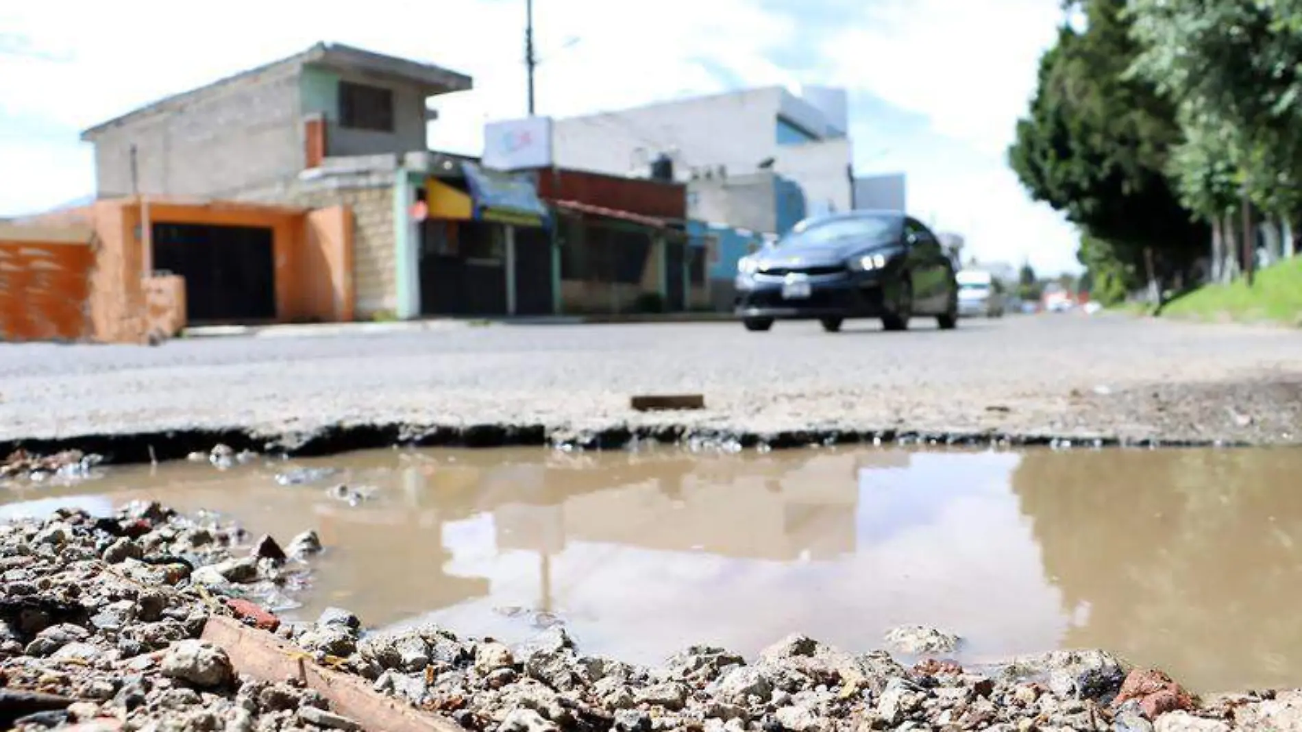 baches (3)